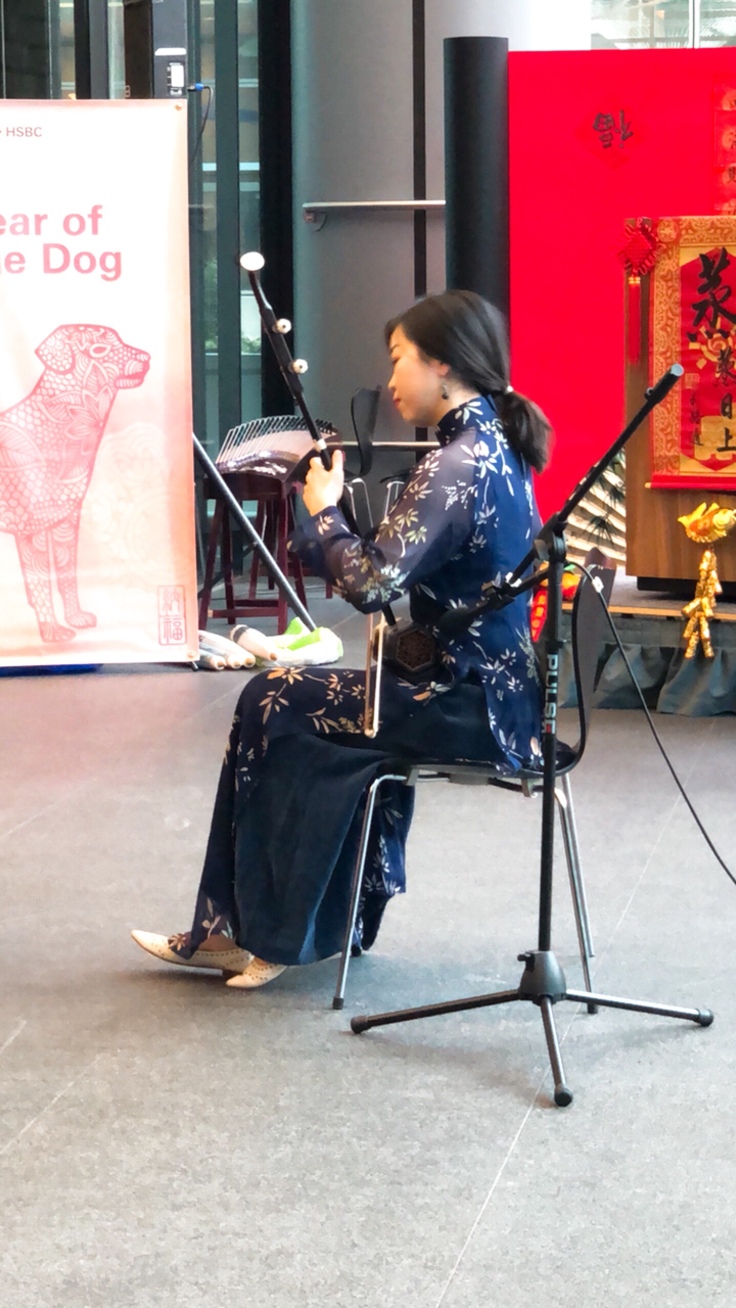 Erhu Traditional Musical Instrument, Chinese New Year Celebrations. Year of the dog